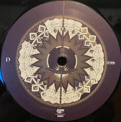 Vinyl Record Amorphis - Halo (Black) (2 LP) - 4