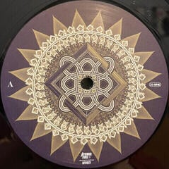 Vinyl Record Amorphis - Halo (Black) (2 LP) - 1