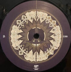 Vinyl Record Amorphis - Halo (Black) (2 LP) - 2
