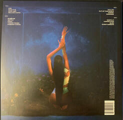 Δίσκος LP Amber Mark - Three Dimensions Deep (Clear Coloured) (2 LP) - 2