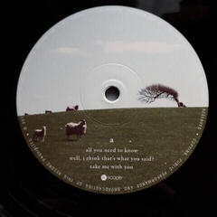 Schallplatte The Pineapple Thief - What We Have Sown (2 LP) - 1