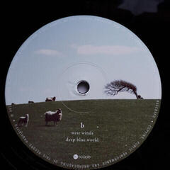Schallplatte The Pineapple Thief - What We Have Sown (2 LP) - 2