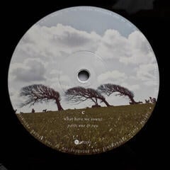 Schallplatte The Pineapple Thief - What We Have Sown (2 LP) - 3