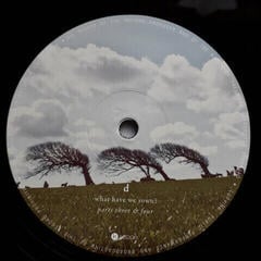 Schallplatte The Pineapple Thief - What We Have Sown (2 LP) - 4