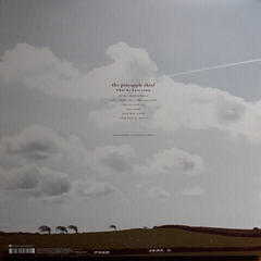 Schallplatte The Pineapple Thief - What We Have Sown (2 LP) - 5