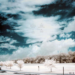 Schallplatte The Pineapple Thief - Little Man (2 LP) - 1