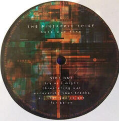 Schallplatte The Pineapple Thief - Hold Our Fire (LP) - 1