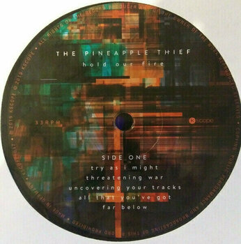 Vinyl Record The Pineapple Thief - Hold Our Fire (LP) - 2