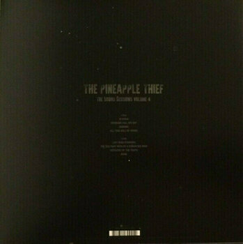 Vinylplade The Pineapple Thief - Soord Sessions Volume 4 (LP) - 4