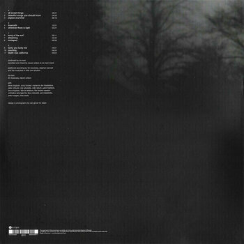 Vinylplade No-Man - Schoolyard Ghosts (2 LP) - 6