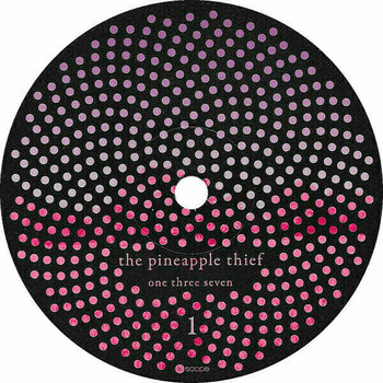Schallplatte The Pineapple Thief - One Three Seven (2 LP) - 2