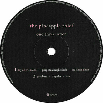 Vinyl Record The Pineapple Thief - One Three Seven (2 LP) - 3