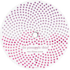 Schallplatte The Pineapple Thief - One Three Seven (2 LP) - 3