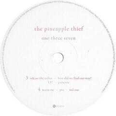 Schallplatte The Pineapple Thief - One Three Seven (2 LP) - 4