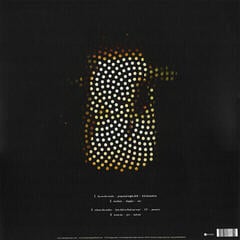 Schallplatte The Pineapple Thief - One Three Seven (2 LP) - 5