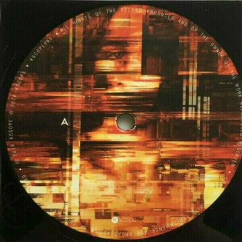 Vinylplade The Pineapple Thief - Dissolution (LP) - 2