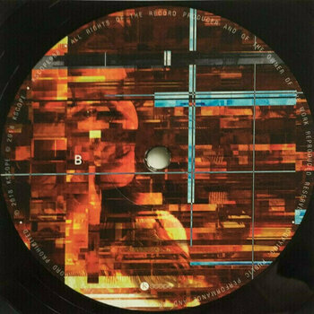 Disco de vinil The Pineapple Thief - Dissolution (LP) - 3