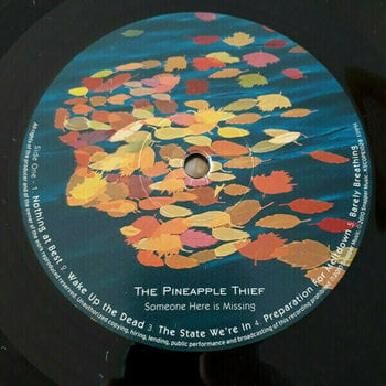 Disco de vinil The Pineapple Thief - Someone Here Is Missing (LP) - 2