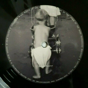 Vinyl Record The Pineapple Thief - Abducted At Birth (2 LP) - 4