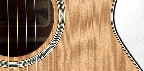Elektro akustična gitara Takamine TF740FS - 5