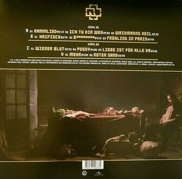 Vinyl Record Rammstein - Liebe Ist Für Alle Da (2 LP) - 13