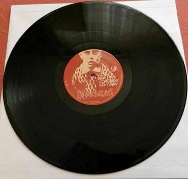 Vinylskiva Korn Untouchables (2 LP) - 3