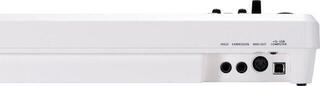Master Keyboard Roland A 49 Master Keyboard White - 2