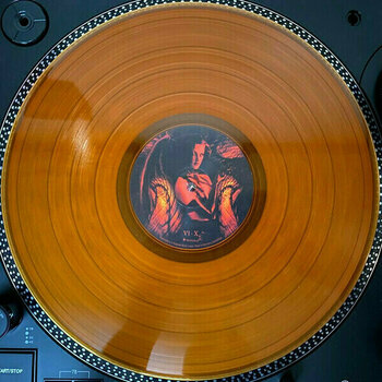 Płyta winylowa Cradle Of Filth - Bitter Suites To Succubi (Orange Coloured) (LP) - 3