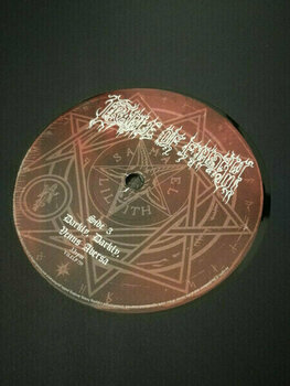Płyta winylowa Cradle Of Filth - Darkly Darkly Venus Aversa (2 LP) - 3