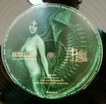 Schallplatte Cradle Of Filth - Eleven Burial Masses (2 LP) - 4