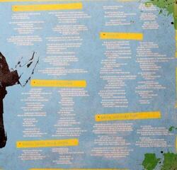 LP ploča Dropkick Murphys - 11 Short Stories Of Pain & Glory (LP) - 4