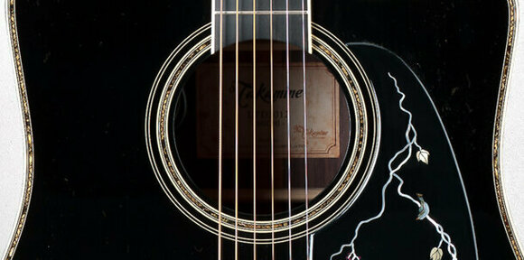 electro-acoustic guitar Takamine LTD2012 MICHI - 11