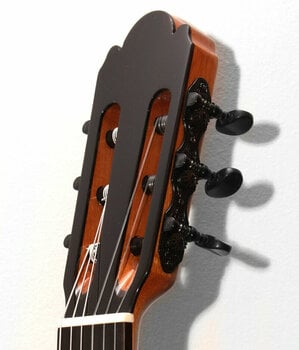 Klasická gitara Pasadena AG100 - 3
