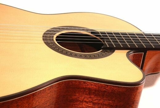 Klasická gitara Pasadena AG100 - 4