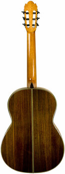 Klasická gitara Pasadena CG300 - 2