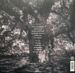 Disco in vinile Lyle Lovett - 12th Of June (LP) - 5