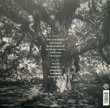 Vinyl Record Lyle Lovett - 12th Of June (LP) - 6