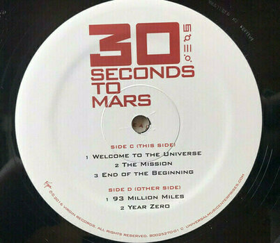 Vinylskiva Thirty Seconds To Mars - 30 Seconds To Mars (2 LP) - 3