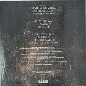 Vinyl Record Pantera - 1990-2000: A Decade Of Domination (2 LP) - 2