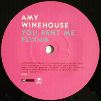 Vinyylilevy Amy Winehouse - 12x7 The Singles Collection (Box Set) - 11