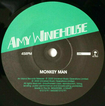 LP plošča Amy Winehouse - 12x7 The Singles Collection (Box Set) - 20