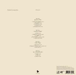 Δίσκος LP Pachakuti & Young.Vishnu - Dédalo (2 LP) - 3