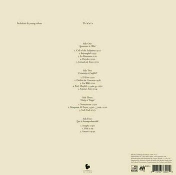 Hanglemez Pachakuti & Young.Vishnu - Dédalo (2 LP) - 4