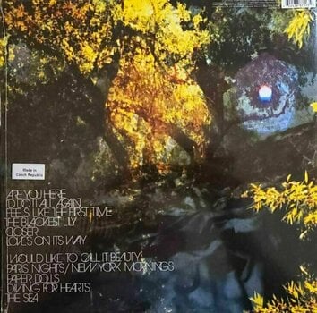 Vinyl Record Corinne Bailey Rae - The Sea (LP) - 6