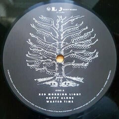 Грамофонна плоча Kings of Leon - Youth and Young Manhood (2 LP) - 2