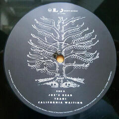 Грамофонна плоча Kings of Leon - Youth and Young Manhood (2 LP) - 3