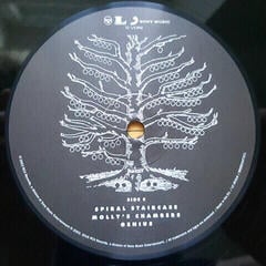 Грамофонна плоча Kings of Leon - Youth and Young Manhood (2 LP) - 4