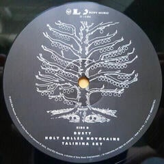 Грамофонна плоча Kings of Leon - Youth and Young Manhood (2 LP) - 5