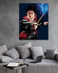 Schilderen op nummer Zuty Schilderen op nummer Harry Potter And Wand - 1
