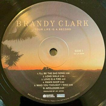 Disco de vinilo Brandy Clark - Your Life Is A Record (LP) Disco de vinilo - 2